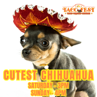 Chihuahua PNG